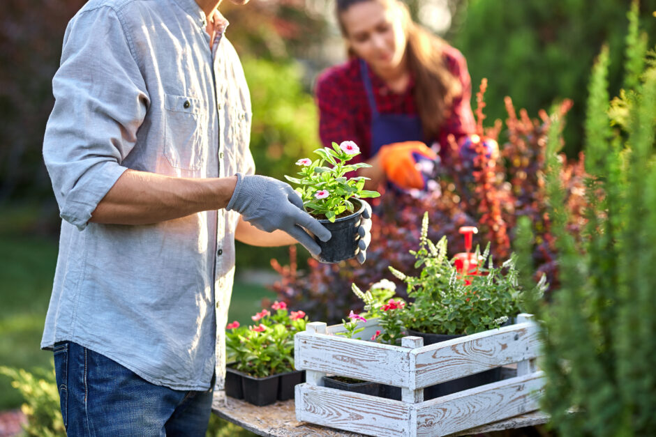 Grüne Einsparungen: Tipps und Tricks für ein Budget-freundliches Balkon- und Gartenerlebnis